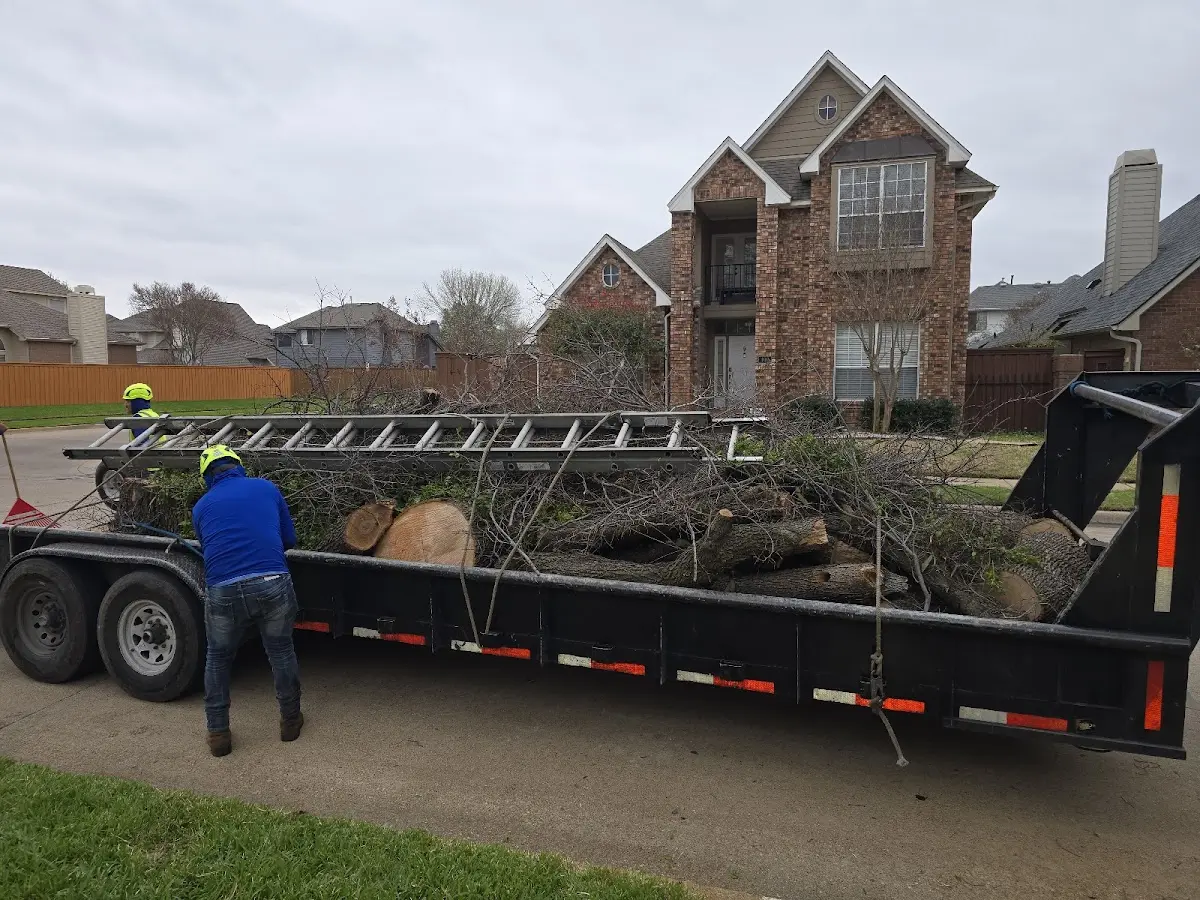 Expert Deadwooding with proper safety equipment in Schererville